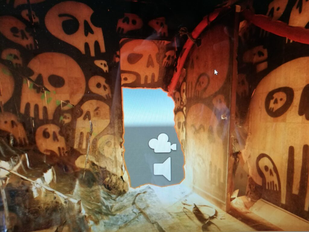 Remember Souvenir - Scanning Denis Meyers' murals